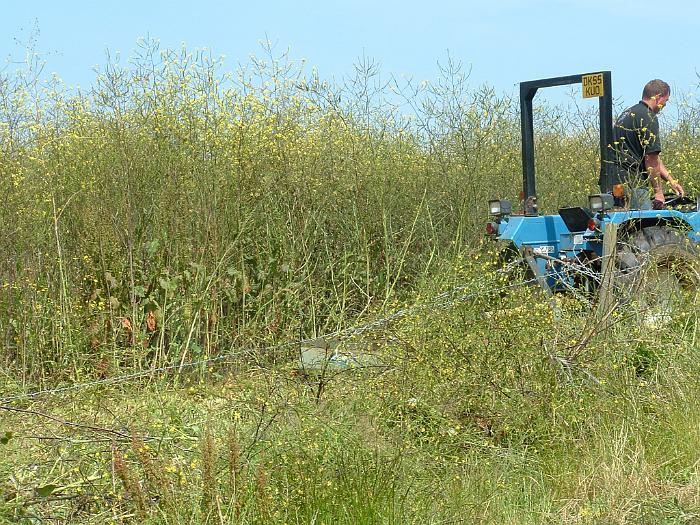 2 Clearing the Field (10)